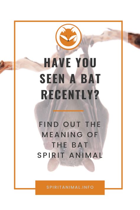 Have you seen a bat lately? Are you wondering if it may have a message for you? Find out what the true meaning of the bat spirit animal is and what message it may have for you. #spiritanimals #bat #animaltotems Spirit Animal Quotes, Spirit Animal Quiz, Find Your Spirit Animal, Spirit Animal Meaning, Meaning Of Your Name, Animal Meanings, Animal Spirit Guides, Irrational Fear, Energy Blocks