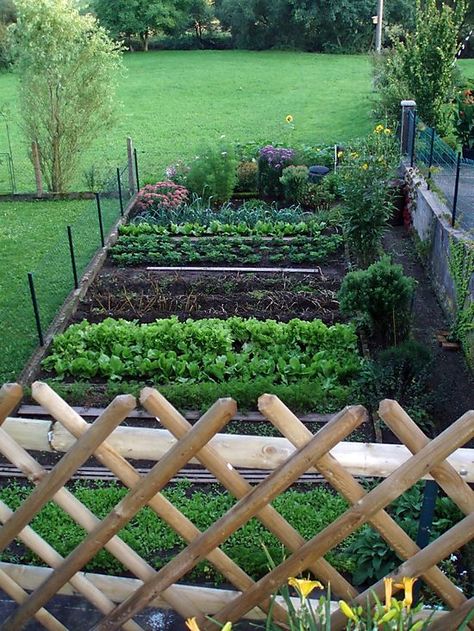 A Well Organized Garden Garden Potager, Small Vegetable Gardens, Budget Garden, Veg Garden, Have Inspiration, Plants And Flowers, Veggie Garden, Edible Garden, Shade Garden