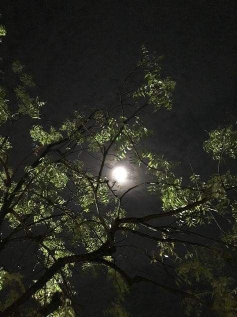 Today's Moon Pic In India, Full Moon Aesthetic Photography, Real Moon Pictures Photography, Moon Dpz, Moon Light Photography, Night Moon Photography, Nocturnal Photography, Mountain Resort Architecture, Summer Wallpaper Phone