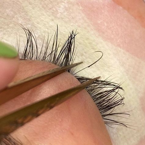 Classic Lash Extensions, Lash Perm, Classic Lashes, Lash Growth, Proposal Photos, Lash Tech, Work Room, Lash Extension, Branding Design Inspiration