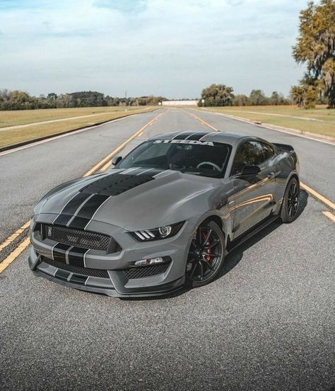 Nice Nardo Gray GT350 #mustang #ford #gt #americanmuscle #shelby #mustanglife #stance #mustanggt #gt350 #gt500 Mustang Gt 350, Mobil Mustang, Shelby Gt 500, Mustang Gt500, Grey Car, Aesthetic Cool, Ford Mustang Car, Car Organization, Aesthetic Car