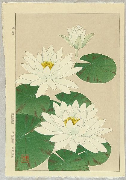 Japanese Flowers, Japanese Woodblock Printing, Japanese Painting, Japanese Prints, Water Lily, Woodblock Print, Water Lilies, Botanical Illustration, Botanical Art