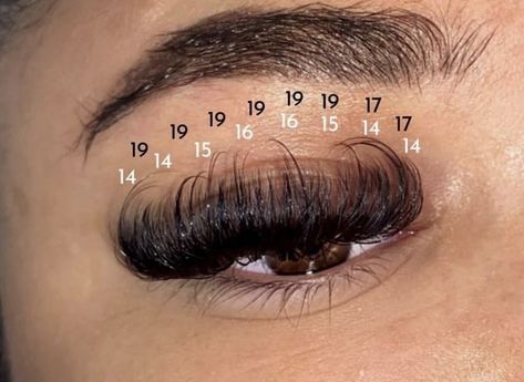 25mm Lash Extensions Mapping, Dramatic Lash Extensions Mapping, How To Apply Eyelash Extensions, Fluffy Hybrid Lash Extensions Map, Lash Extensions Mapping Styles Volume, Wispy Mega Volume Lash Extensions Map, Fluffy Lash Cluster Map, Volume Lash Extensions With Bottoms, Mega Volume Lash Extensions Mapping 25mm