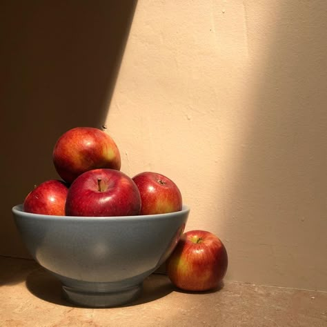 Reference Images For Artists, Bowl Still Life, Apples Painting, Soft Pastels Drawing, Still Life Pictures, Reference Photos For Artists, Life Drawing Reference, Apple Painting, Oil Painting Inspiration