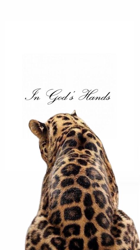 leopard print christian lockscreen Cute Wallpapers Cheetah Print, Leopard Print Lockscreen, Leopard Lockscreen, Leapord Print Wallpaper Aesthetic, Cheetah Print Background Aesthetic, Leopard Wallpaper Aesthetic, Leopard Wallpaper Iphone, Aesthetic Christian Iphone Wallpaper, Leopard Print Aesthetic