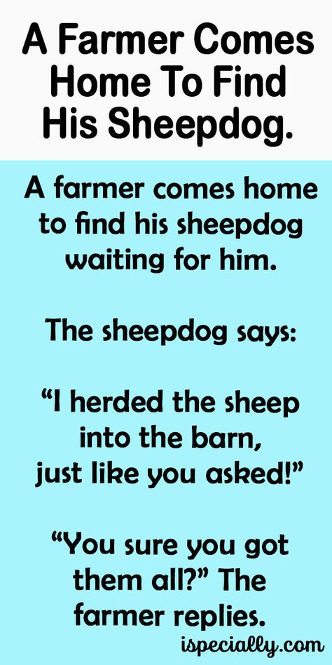 A Farmer Comes Home To Find His Sheepdog. Funny Jokes For Adults, A Farmer, Waiting For Him, Farmer, Funny Jokes, Like You, Funny, Quotes, Quick Saves