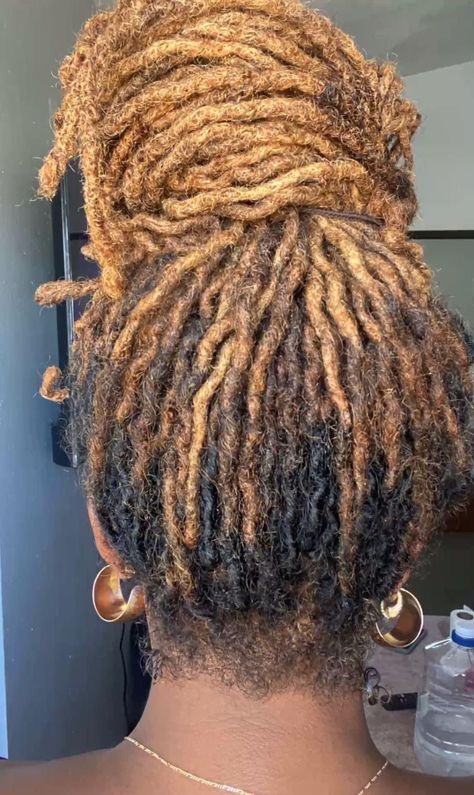 West Indie Ray Locs, Locs With Blonde Tips, Black Locs Black Women, Locs With Highlights, Honey Blonde Locs, Locs Ideas, Black And Blonde Ombre, Loc Hairstyles, Beautiful Locs