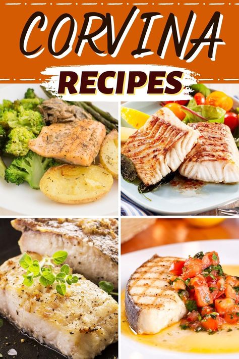 Fish lovers will adore these firm, mild, sweet, and buttery corvina recipes. Sear it, bake it, or leave it raw - it's delicious no matter what. Corvina Recipes, Corvina Fish Recipes, Filet Recipes, Louisiana Fish Fry, White Wine Recipes, Fish Fillet Recipe, Moroccan Couscous, Tilapia Fish Recipes, Tilapia Fish