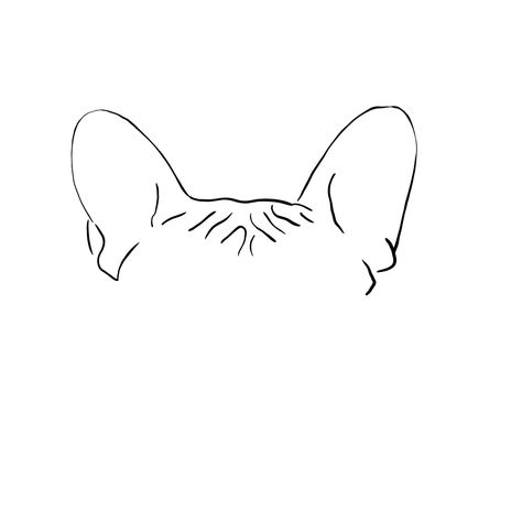 French Bulldog Ears Outline Tattoo, Frenchie Ears Outline Tattoo, Frenchie Line Art, Frenchie Ears Tattoo, French Bulldog Ears Tattoo, Frenchie Tattoo Outline, Jett Tattoo, Line Drawing Tattoos, French Bulldog Tattoo