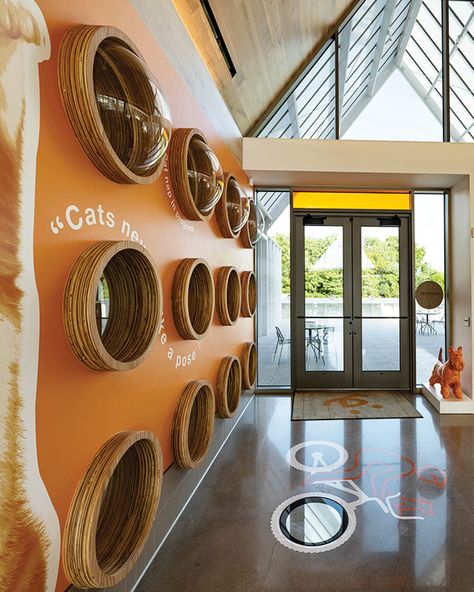 This Animal Shelter Raises the Bar for Design Pet Hotel Design, Animal Shelter Design, Animal Rescue Ideas, Hotel Pet, Pet Cafe, Cat Hotel, Animal Rescue Center, Dog Hotel, Shelter Design