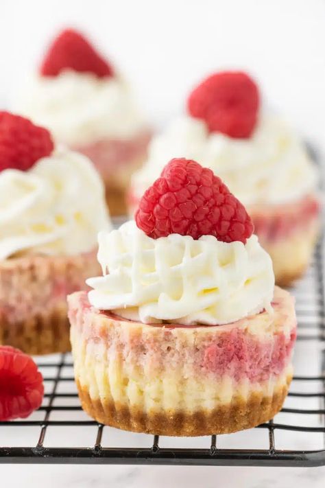 Raspberry Cheesecakes, Easy Chocolate Cheesecake, Raspberry Cheesecake Bites, White Chocolate Raspberry Cheesecake, Cookies And Cream Cheesecake, Chocolate Raspberry Cheesecake, Mini Cheesecake Recipes, Homemade Graham Crackers, White Chocolate Cheesecake