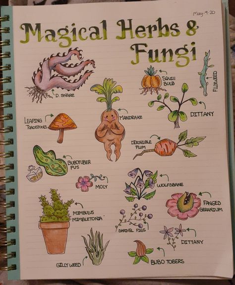 Botany Journal Ideas, Herbology Harry Potter Printable, Harry Potter Plants Herbology, Harry Potter Sketches Easy, Herbology Hogwarts, Herbology Harry Potter, Harry Potter Herbology, Harry Potter Plants, Harry Potter Notebook