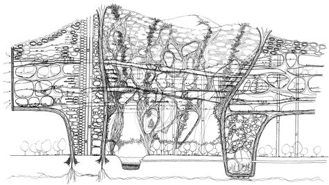 Symbiotic Architecture: Space of Emotional Saturation High Density Architecture, Symbiotic Architecture, Biomimicry Architecture, Biophilic Architecture, Architecture Space, Architectural Models, Floating House, Human Species, Concept Art Drawing