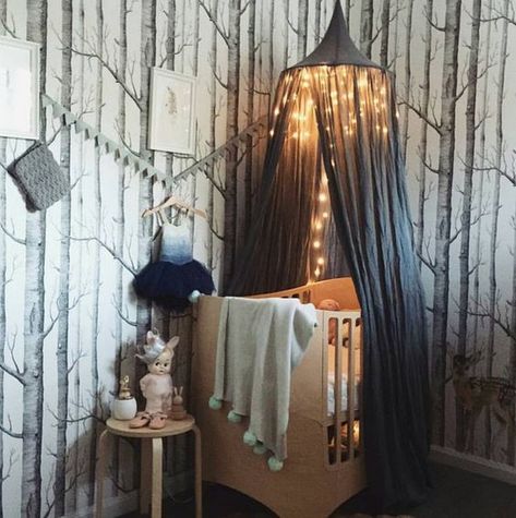 25+ Beautiful Nursery Lights Ideas | momooze.com Enchanted Forest Nursery, Stylish Bedroom Design, Crib Canopy, Adorable Nursery, Forest Nursery, Grey Nursery, Nursery Baby Room, Stylish Bedroom, Baby's Room