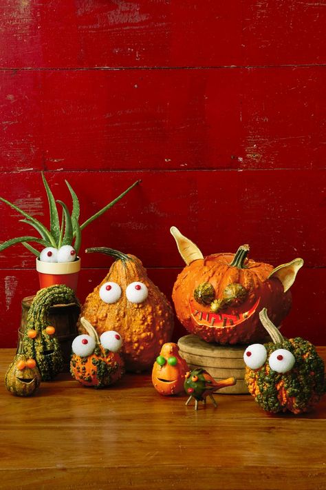 Easy Carving Ideas, Easy Pumpkin Faces, Pumpkin Face Carving, Funny Pumpkin Carvings, No Carve Pumpkin Decorating, Pumpkin Display, Glowing Eyes, Funny Pumpkins, Halloween Pumpkins Carvings