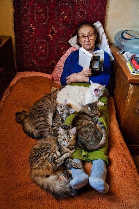 Grandma Pictures, Old Cat Lady, Cat Grandma, Cat Therapy, Cool Grandma, Real Cat, Cat Hacks, Cat Blanket, Daily Pictures