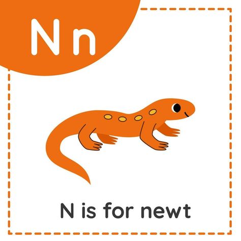 Learning English alphabet for kids. Letter N. Cute cartoon newt. English Alphabet For Kids, Letter Learning, S Alphabet, Letters For Kids, English Alphabet, Alphabet For Kids, Letter N, Animal Alphabet, Learning Letters