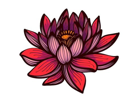 Red Lotus Tattoo, Lotus Background, Pink Lotus Flower, Red Lotus, Flower Vector, Flower Drawing Design, Lotus Tattoo, Pink Lotus, Beautiful Body