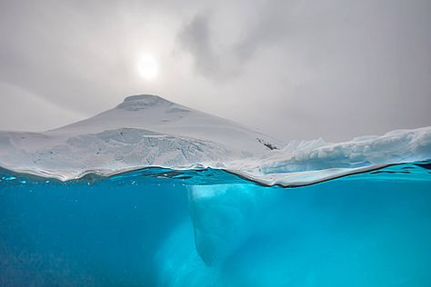 Photographer Steve Mandel Above And Below Water, Camera Rig, Photographer Camera, Creative Shot, Art Diary, Make Photo, Sea World, Black Box, Image Photography