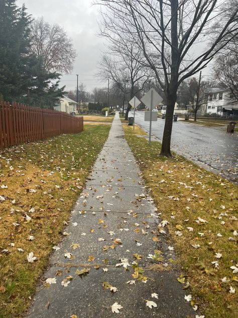 autumn path•rainy day aesthetic•fall day•cloudy aesthetic Raining Background, Rainy Pictures, Landscape Rain, Cloudy Aesthetic, Midwest Fall, New York Rain, Fall Rain, Background References, New York Broadway