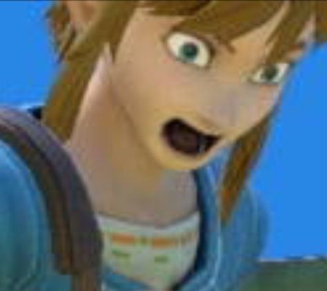 Link Reaction Pic, Funny Link Pfp, Link Funny Icons, Link Funny Face, Funny Link Faces, Zelda Reaction Pics, Link Smiling, Legend Of Zelda Reaction Pic, Link Botw Funny