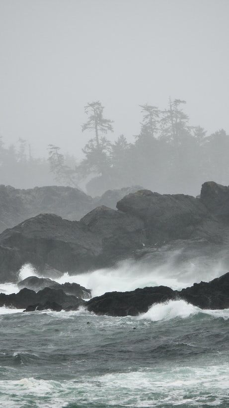 Storm Watching, Pacific Rim National Park, Ancient Forest, Road Map, Vancouver Island, Nature Aesthetic, Rock Climbing, Fall And Winter, British Columbia