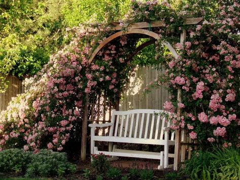 . Garden Archway, Rose Arbor, Climbing Flowers, Flower Arch, Garden Arbor, Garden Arches, Garden Deco, Romantic Garden, Climbing Roses