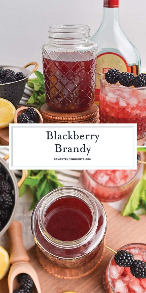 This homemade blackberry brandy is sweetened with a bit of sugar and juicy blackberries, and kicked up with the addition of fresh herbs! Blackberry Brandy Recipe, Orange Crush Cocktail, Blackberry Brandy, Brandy Recipe, Mixed Berry Pie, Fun Party Drinks, Blackberry Wine, Hot Drinks Recipes, Seasonal Cocktail