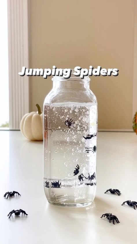 Allison | Science, Art, & Learning Activities for Kids | 🕷SAVE🕷 this to try! TO DO: 1️⃣In a clear container, add a small amount of water. (Optional: Add food coloring) 2️⃣Fill the rest of the... | Instagram Bugs And Insects Science Experiment, Science Experiments With Alka Seltzer, Spider Activities For Preschool Science Experiments, Spiders Kindergarten Science, Insect Experiments For Kids, Halloween Kids Science Experiments, Spider Science Activities, Halloween Science Experiments For Preschoolers, Halloween Science For Preschool