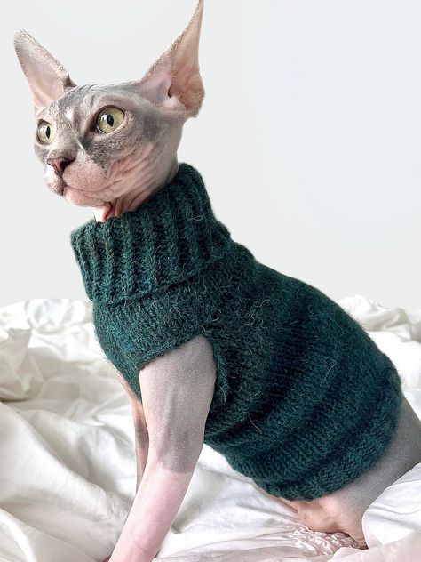 Luna Is An Easy-Knit Three-Hour Cat Sweater That Comes In Five Sizes! - KnitHacker Knit Cat Sweater Pattern, Cat Jumper Knitting Pattern Free, Kitten Sweater Pattern, Knit Cat Sweater, Luna The Cat, Free Cat Patteren Sewing Sweaters, Crochetd Cat Sweater, Cat Sweater Knitting Pattern, Sphynx Cat Sweater Crochet Pattern