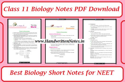 Class 11 Biology Notes PDF Download | Best Biology Short Notes for NEET | 102 Pages,7 MB, Google Drive Download Link, English Medium, Best for Quik Revision Biomolecules Notes Biology Class 11 Neet, Class 11 Biology Notes, Biology Class 11, Class 11 Biology, Neet Biology, Neet Notes, Mineral Nutrition, Study Biology, Short Notes