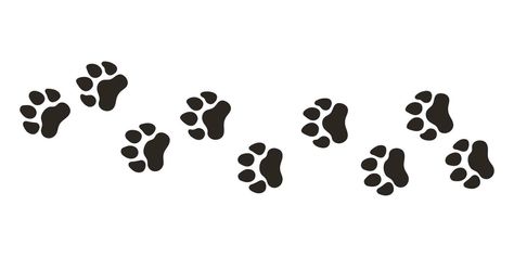 Paws Reference Drawing, Animals Footprints, Animal Paw Prints, Tiger Paws, Animal Footprints, Tiger Paw, Different Animals, Reference Drawing, Background Illustration