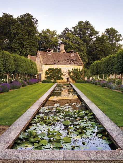 Jinny Blom Gardens, Formal Pond, Cotswold Garden, Wet Flowers, Pond Water Features, Landscape Designer, Modern Landscape Design, Formal Garden, Reflecting Pool