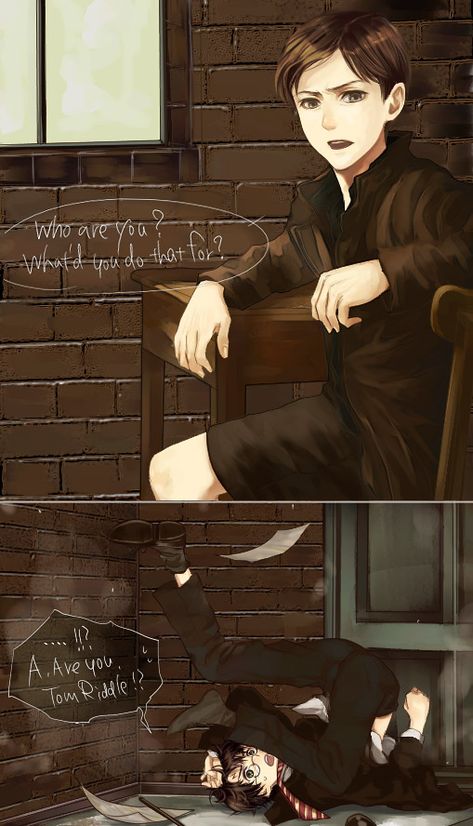 Tom Riddle and Harry Potter Harry Potter X Tom Riddle, Meme Harry Potter, Harry Potter Toms, Image Meme, Severus Rogue, Cute Harry Potter, Gay Harry Potter, Buku Harry Potter, Images Harry Potter