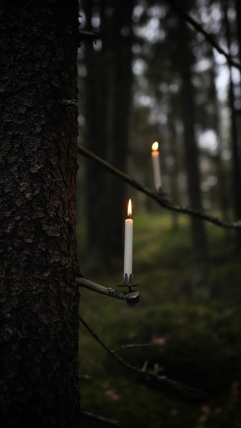 Green Witch Aesthetic, Forest Witch, Witchy Aesthetic, Dark Cottagecore, Portrait Photos, Season Of The Witch, Beltane, Witch Aesthetic, Green Witch