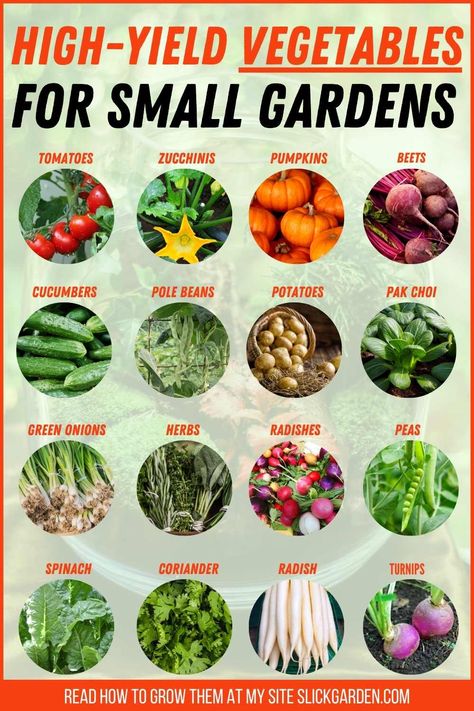 High-Yield Vegetables For Small Gardens – Slick Garden Apartment Vegetable Garden, Small Vegetable Garden, Nature Parks, Autumn Core, Growing Vegetables In Pots, Arizona Gardening, Vegetables Garden, Veggie Gardens, Vegetable Garden Planner