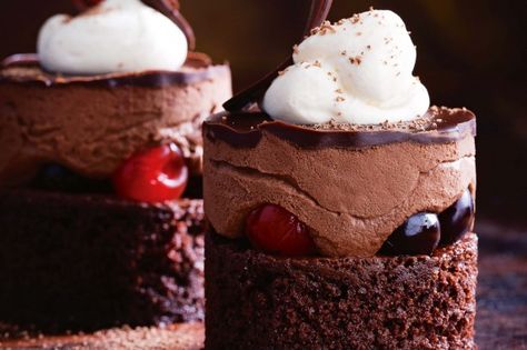 Mousse Cake Recipe, Mousse Cakes, Dessert Parfait, Mousse Dessert, Individual Desserts, Chocolate Cakes, Fancy Desserts, Easter Dessert, Keto Desserts