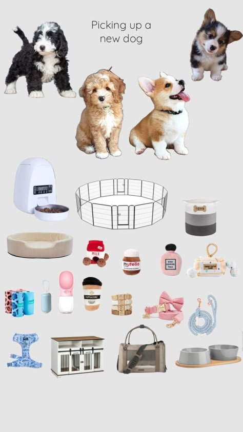 Things You Need For A Dog, Bougie Dog, Traveling With Dog, Puppy Space, Dog Shopping, Dog Supplies List, Puppy Items, Cute Dog Stuff, Puppy Aesthetic