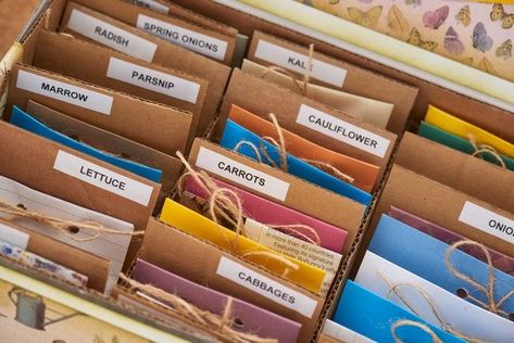 Upcycle an old shoebox into this seed storage box, and keep your seeds organised for the whole year! #gardeningtips 🌱 Seed Package Storage, Seed Box Storage, Porch Gardens, Diy Seed Packets, Seed Packet Template, Gardening Printables, Garden Notes, Seed Library, Seed Storage