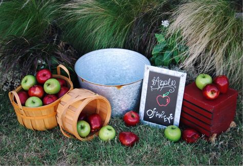 Apples Photoshoot, Fall Milk Bath Photography, Apple Baby Photoshoot, Fall Milk Bath Baby, Apple Orchard Photoshoot Baby, Baby Apple Orchard Pictures, Apple Milk Bath Photos, Apple Photoshoot, Monthly Photoshoot