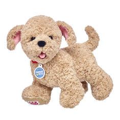 Build A Bear Dog, Lots Of Kisses, Pets Accessories, Assistance Dog, Fairy Friends, Teddy Bear Picnic, Bear Dog, Dog Vest, Funny Bunnies