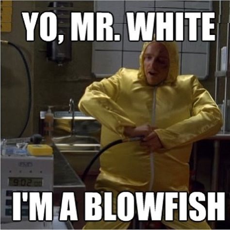 Yo, Mr. White I'm a blowfish!!! -Jesse Pinkman. #BreakingBad #hilarious Walter White And Jesse Pinkman Memes, Breaking Bad Quotes Funny, Walking Bad, Breaking Bad 3, Mike Ehrmantraut, Breaking Bad Jesse, Better Call Saul Breaking Bad, Aaron Paul, Bad Memes