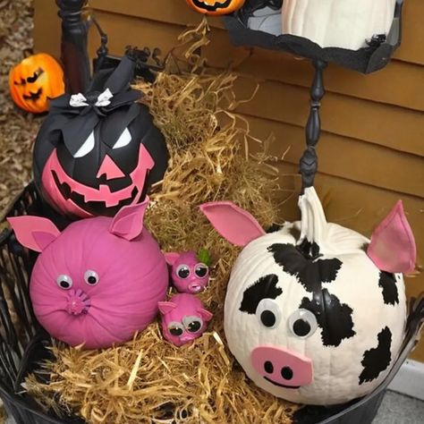 No Carve Pig Pumpkin Ideas. Are you tired of the messy and… | by Castlerandom | Jul, 2023 | Medium Pig Pumpkin, Cow Pumpkin, Pig Painting, Farm Animals Theme, Pumpkin Contest, Carving Pumpkins, Animals Amazing, Animal Print Wallpaper, Pumpkin Halloween Decorations