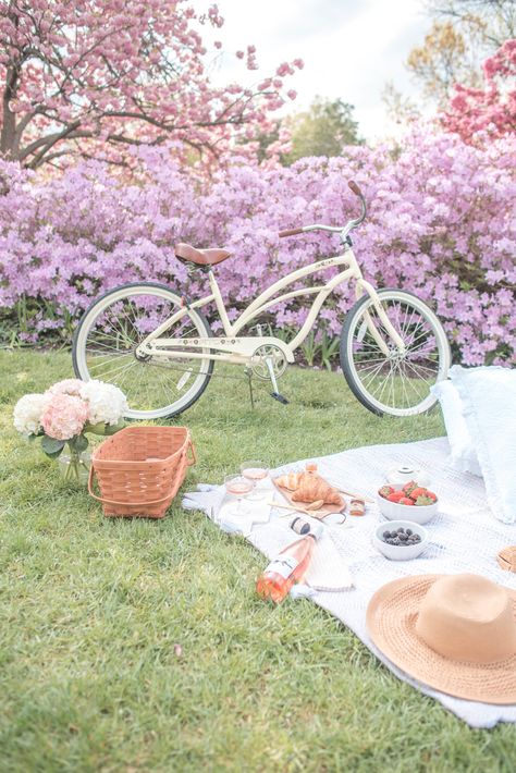 Picnic Styling, Summer Hosting, Styled Photoshoot, Spring Picnic, Picnic Inspiration, Cherry Blossom Wedding, Spring Refresh, Garden Picnic, Spring Staples