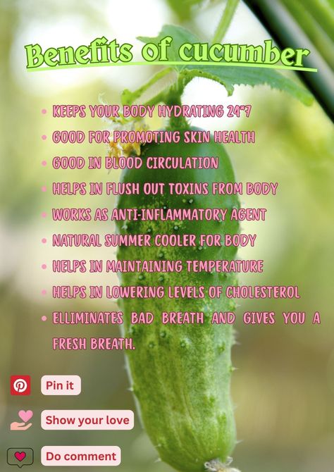 Benefits of cucumber 🥒🥒 Benefits Of Cucumber, Cucumber Benefits, Healthy Life, Cucumber, Benefits