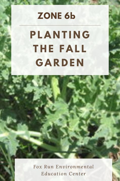 Fall Gardening Ideas, Fall Garden Planting, Planting Fruit Trees, Fall Crops, August Garden, Ideas Garden Design, Fall Gardening, Planting Calendar, Growing Fruit Trees