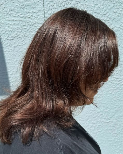 FALL IS FOR WARM BRUNETTES 🍂🍁 This client was blonde all summer long and decided it was time for a change. We opted for a rich dark chocolate brown color for the fall/winter season ! I love the richness that the @redken Shades EQ brings ! Interested in a color service ? DM me and let’s get you in ! #darkbrown #brownhair #hair #hairstylist #lutz #tampa #wesleychapelhair Cool Brown Shades Eq, Dark Brown Redken Shades Eq, Neutral Brown Shades Eq, Chestnut Brown Hair Shades Eq, Redken Shades Eq 7nb Chestnut, Warm Brunette, Redken Shades, Redken Shades Eq, Chocolate Brown Colour