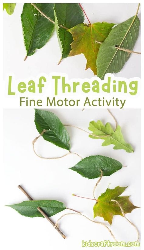 Nature Occupational Therapy, Fine Motor Leaf Activities, Nature Activity For Preschool, Prek Leaf Activities, Leaf Activities Kindergarten, Leaf Games For Kids, We’re Going On A Leaf Hunt Activities, Leaf Sensory Activities, Leaf Craft For Preschoolers