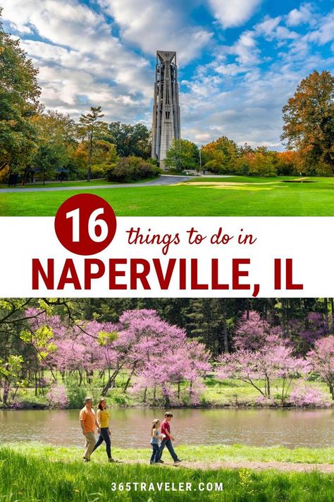 A little less than an hour’s drive from the Windy City of Chicago, Naperville is a town filled with wonderful things to do. You will find history-based attractions, a wide variety of museums, bustling breweries, and exhilarating amusement parks here. So, what are you waiting for? Bring your loved ones along to explore all the wonderful things to do in Naperville! Naperville Riverwalk, Illinois Travel, Naperville Illinois, City Of Chicago, Chicago Suburbs, Amusement Parks, The Windy City, River Walk, Windy City