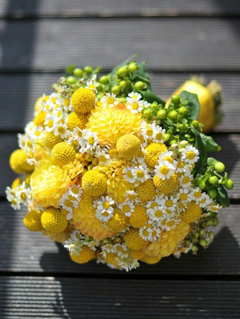 Whimsical Wedding Posy: Yellow Chrysanthemums, White/Yellow Chamomile, Yellow Craspedia (Billy Balls, Billy Buttons) + Green Hypericum Berries Billy Buttons Bouquet, Yellow Flower Bouquet, Yellow Flowers Bouquet, Chrysanthemum Wedding, Chrysanthemum Bouquet, Yellow Chrysanthemum, Yellow Bouquets, Billy Balls, Billy Buttons